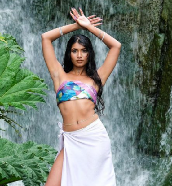 Cultural Synthesis: the Unique Identity of Pallaví aka Fijiana in the Single “Crash the&nbsp;Car”